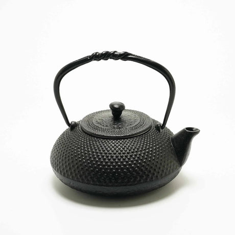 Nambu Ironware Cast Iron Tea Kettle 17oz - Vetted